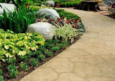 Maintained garden path and planted landscape detail
