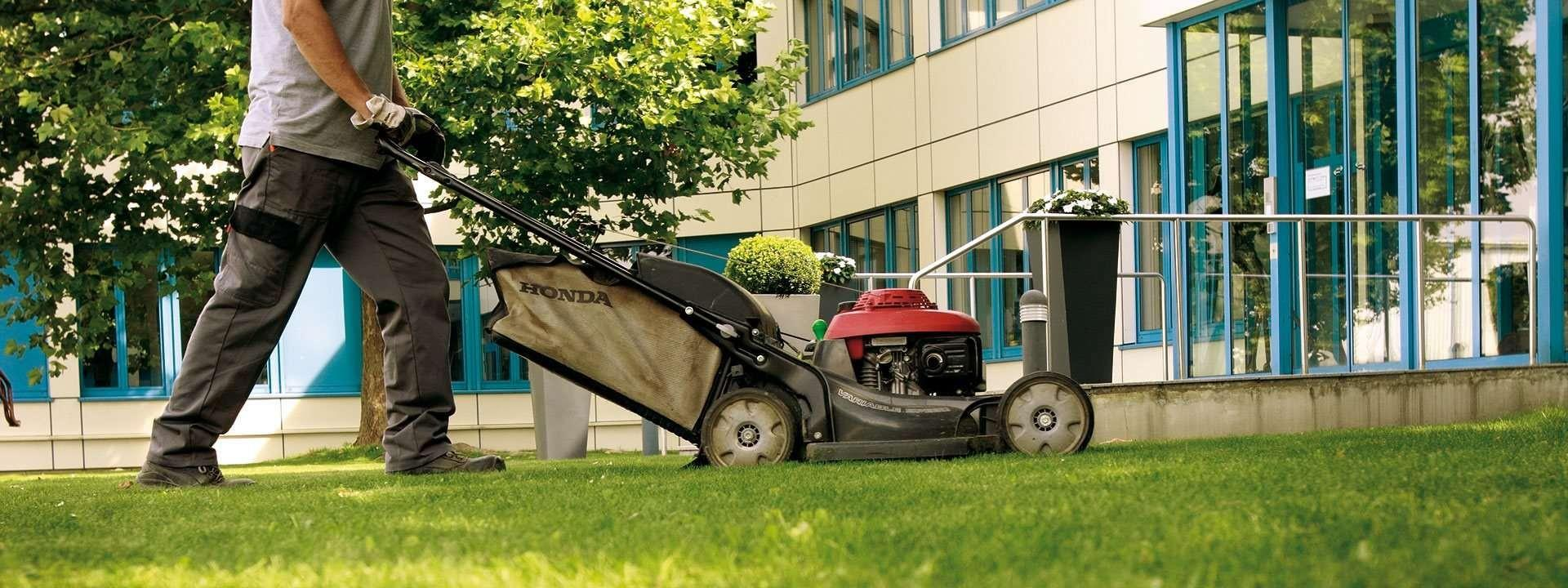Ground maintenance crew caring for a landscaped commercial exterior